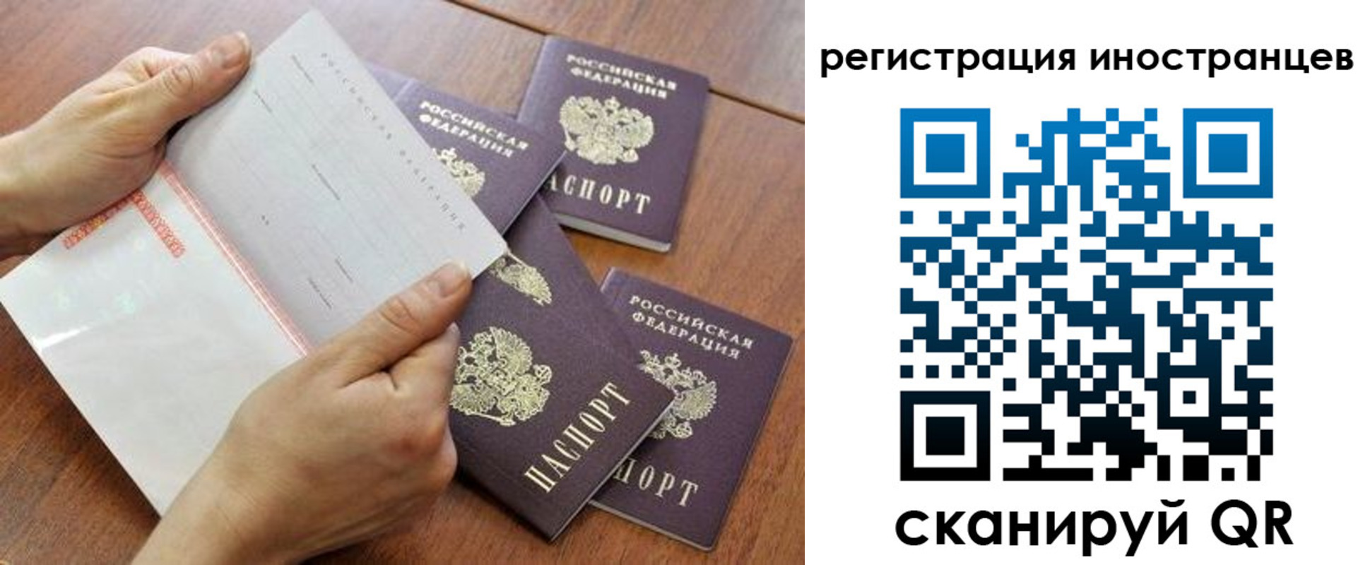 прописка поиск в Архангельске